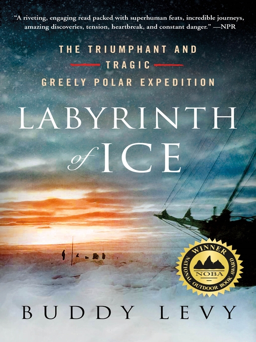 Title details for Labyrinth of Ice by Buddy Levy - Wait list